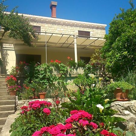 مبيت وإفطار سلانو Antun Mozara Family House المظهر الخارجي الصورة