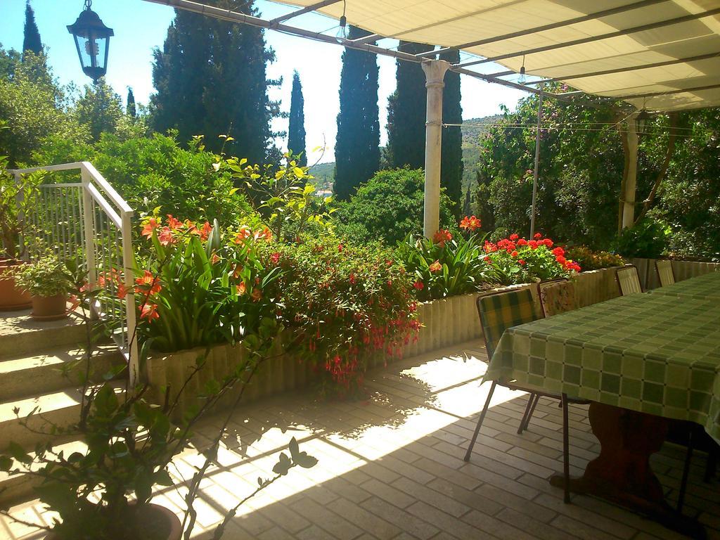 مبيت وإفطار سلانو Antun Mozara Family House المظهر الخارجي الصورة