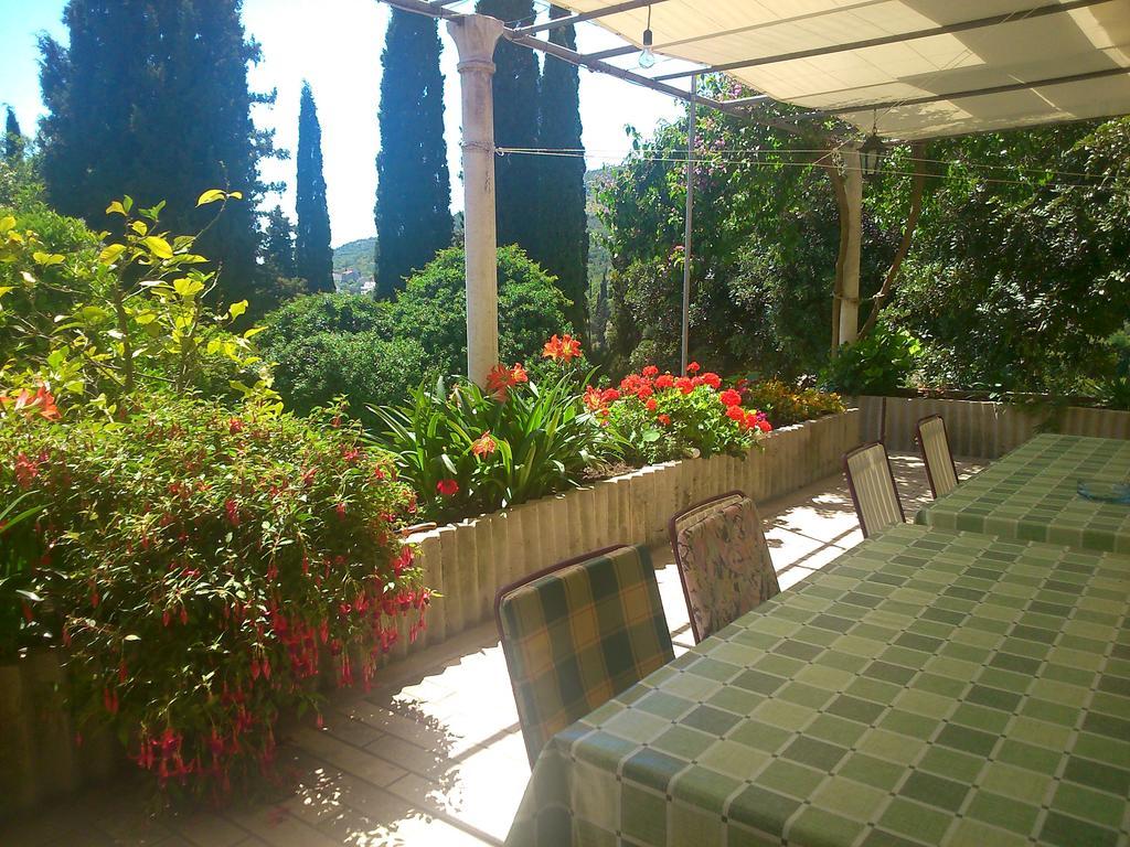 مبيت وإفطار سلانو Antun Mozara Family House المظهر الخارجي الصورة