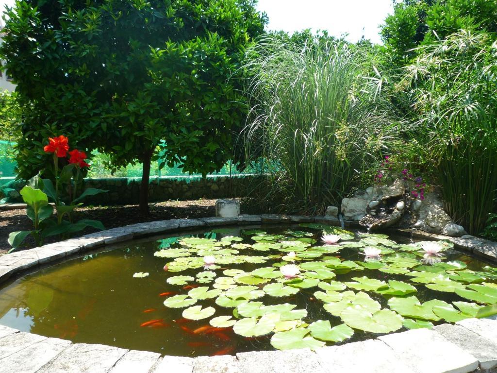مبيت وإفطار سلانو Antun Mozara Family House المظهر الخارجي الصورة