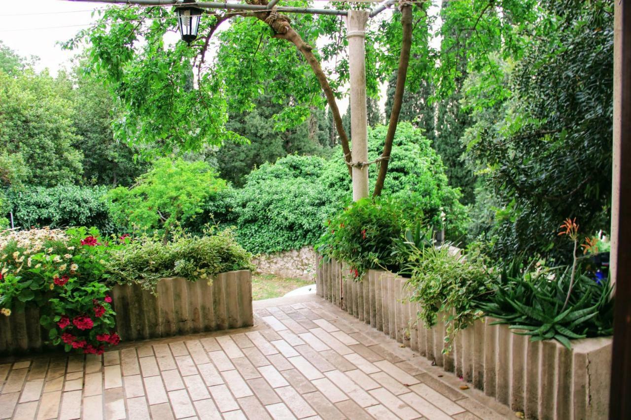 مبيت وإفطار سلانو Antun Mozara Family House المظهر الخارجي الصورة